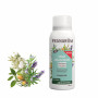 Zuiverende spray Ravintsara - Tea tree - Bio - 75 ml | Inula