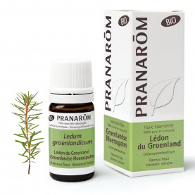 Groenlandse Moeraspalm - Bio - 5 ml | Inula