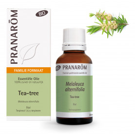 Grote Tea-tree etherische olie - 30 ml | Inula