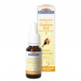 07 - Chestnut Bud - Knop van de paardenkastanje - Bio - 20 ml | Inula