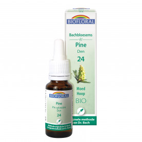 Fleur de Bach n°24 Pine, Pin Sylvestre - 20 ml | Inula