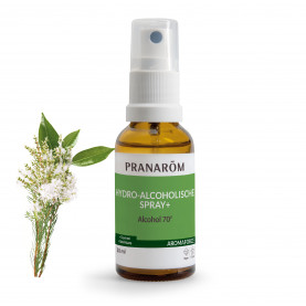 Hydra-alcoholic spray+ - 30 ml | Inula