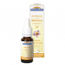 Fleur de Bach n°37 Wild Rose, Églantier - 20 ml | Inula