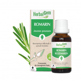Rozemarijnknop - 30 ml | Inula