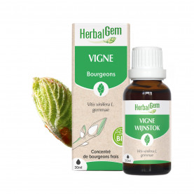 GRAPE VINE - 30 ml | Inula