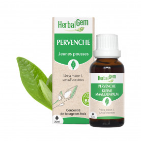 Bourgeon de Pervenche - 30 ml | Inula