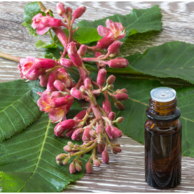 Fleurs de Bach - niveau 1 - FR - 1 pièce | Inula