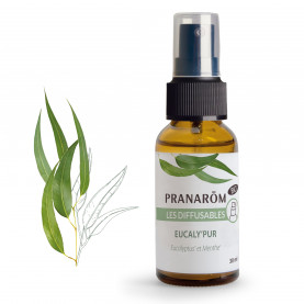 Diffuus in Eucaly'pur spray - 30 ml | Inula
