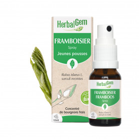 Bourgeon de framboisier - Spray - 15 ml | Inula