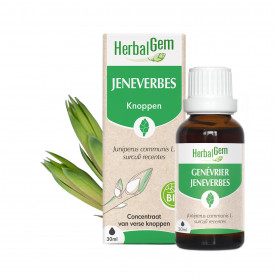 Jeneverbesknop - 30 ml | Inula