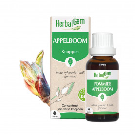 Appelboomknop - 30 ml | Inula