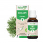 MOUNTAIN PINE - 30 ml | Inula