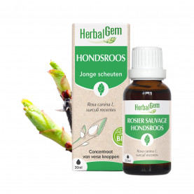 HONDSROOS - Bio - 30 ml | Inula