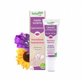 SMEERWORTEL Lippenbalsem - 10 ml | Inula