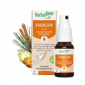 ENERGEM  - Spray - 15 ml | Inula