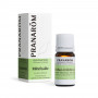 Yarrow - 5 ml | Inula