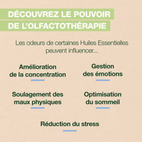 Brume d'oreiller Sleep - 50 ml | Inula