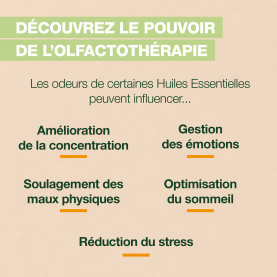 Brume dynamisante Energy - 50 ml | Inula