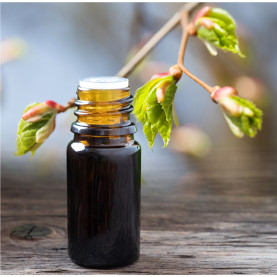 GEMMOTHERAPIE ESSENTIELLE - 1 pièce | Inula