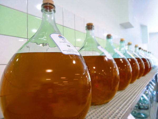 Inula Group - Fabrication Biofloral