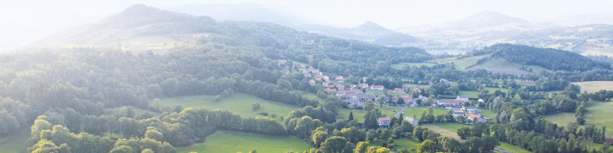 Inula Group - Auvergne Biofloral